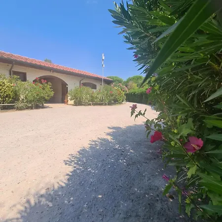 אתר קמפינג Toscane Aan Zee, Viareggio- Mobile Home-chalet, Pisa, Lucca -zr3 וירג'יו